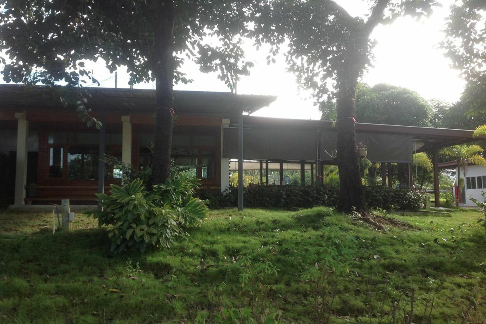 Check In And Chill Out Hotel Ban Laem Sok Exterior foto